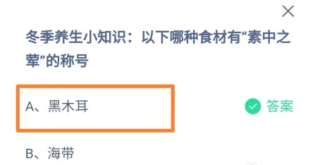 哪种食材有素中之荤的称号