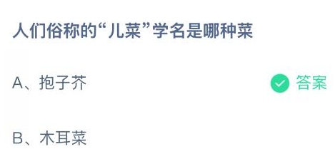 人们俗称的儿菜学名是哪种菜