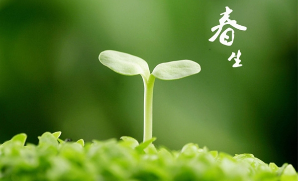 雨水节气的到来标志着哪个季节的开始