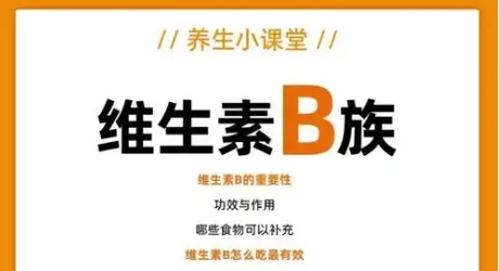 以下哪种营养素对维持神经系统健康至关重要