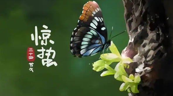 蚂蚁庄园3月5日正确答案最新版2025图二