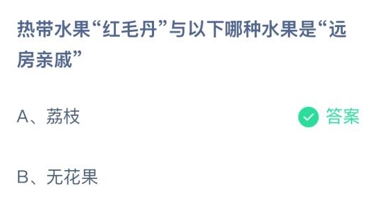 热带水果红毛丹与以下哪种水果是远房亲戚
