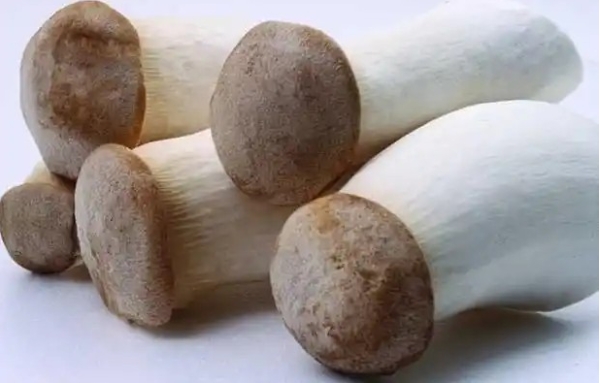 鸡腿菇不能与酒同食吗