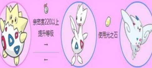 波克比进化攻略
