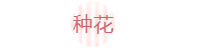 花花僵尸高分怎么获得