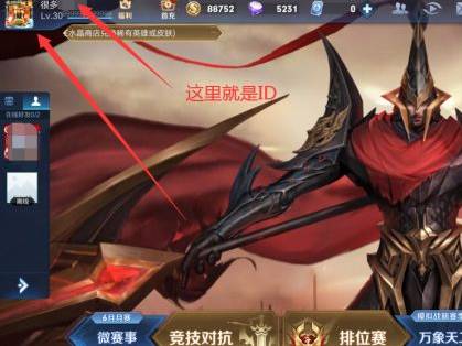 王者荣耀id在哪里查看