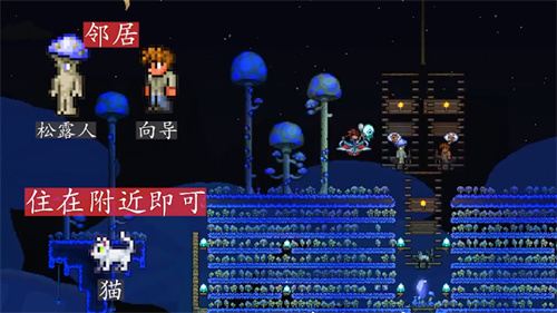 泰拉瑞亚npc最佳分配图