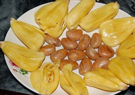 哪种热带水果除了果肉好吃果核也是美味