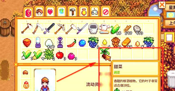 星露谷物语甜菜根怎么获得