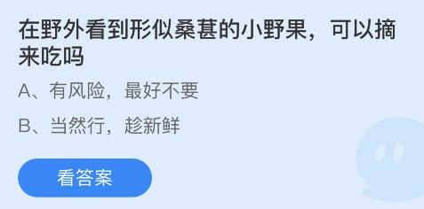 在野外看到形似桑葚的小野果可以摘来吃吗