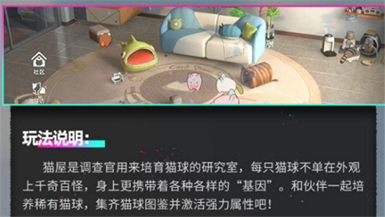 猫之城猫球怎么分享
