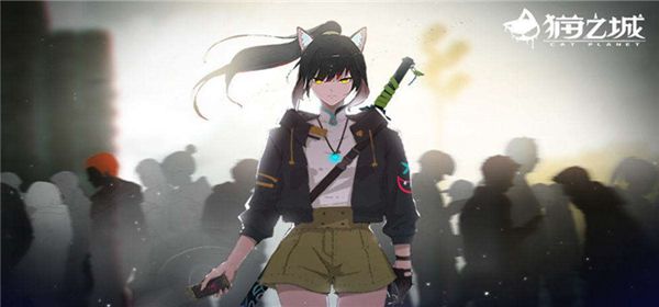 猫之城好感度怎么提升