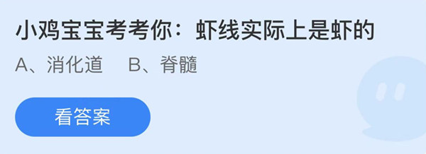 虾线实际上是虾的