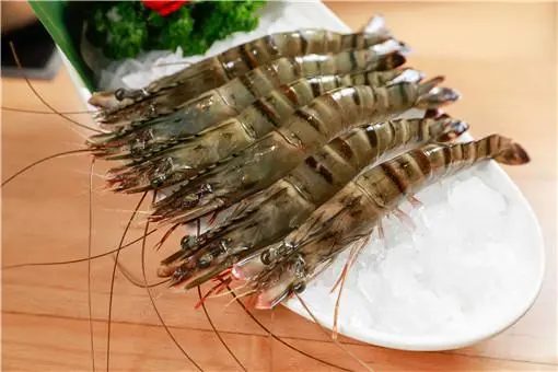 虾线实际上是虾的