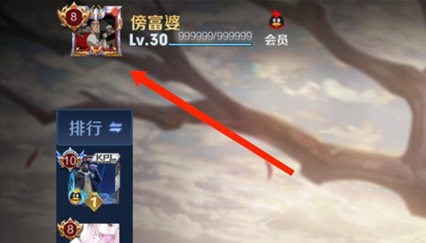 王者荣耀表现分在哪里看