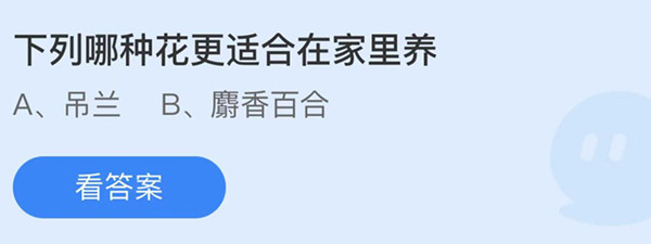 下列哪种花更适合在家里养