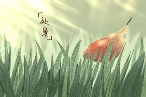 处暑节气的处读第几声