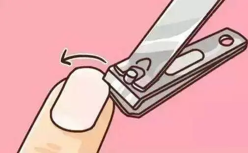 为什么剪指甲时不会感到疼