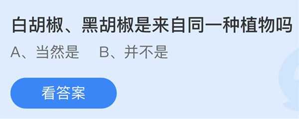 白胡椒黑胡椒是来自同一种植物吗