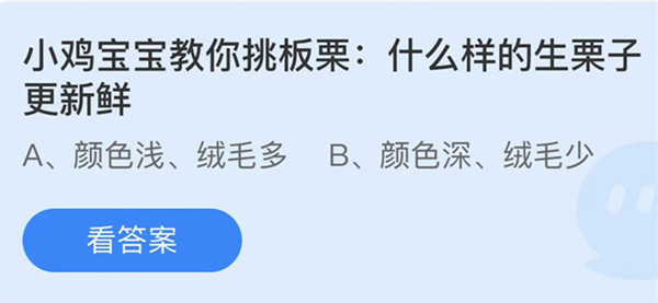 什么样的生栗子更新鲜