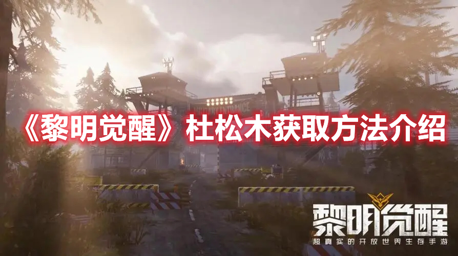 《黎明觉醒》杜松木获取方法介绍