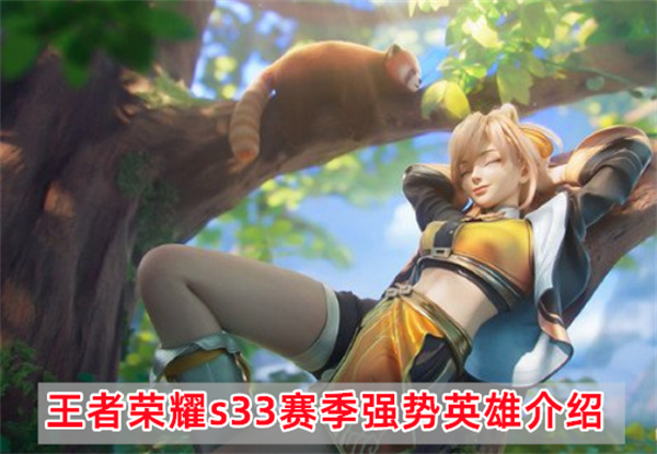 王者荣耀s33赛季五大强势英雄评价介绍一览