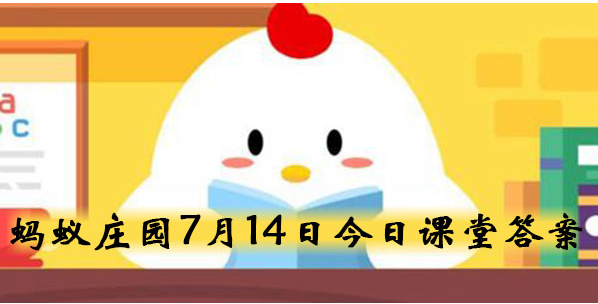 以下哪种动物的瞳孔是长方形的