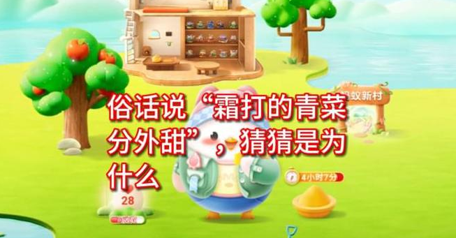俗话说霜打的青菜分外甜猜猜是为什么1