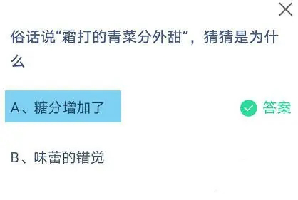 俗话说霜打的青菜分外甜猜猜是为什么2