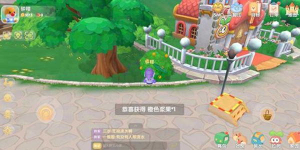 摩尔庄园橙色浆果怎么获得
