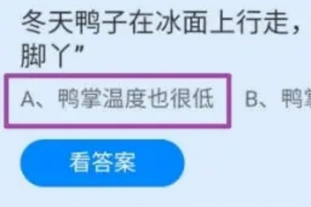 冬天鸭子在冰面上行走为什么不怕冻脚丫2