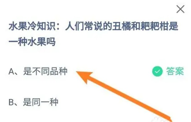 人们常说的丑橘和耙耙柑是一种水果吗