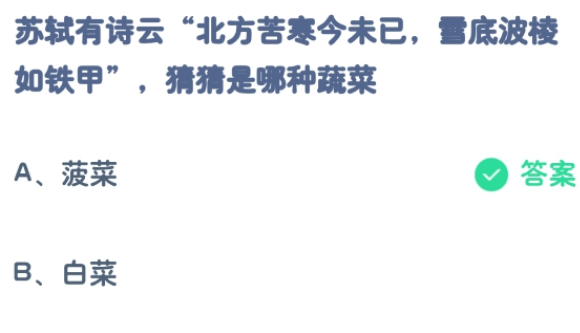 苏轼有诗云北方苦寒今未已雪底波棱如铁甲猜猜是哪种蔬菜2