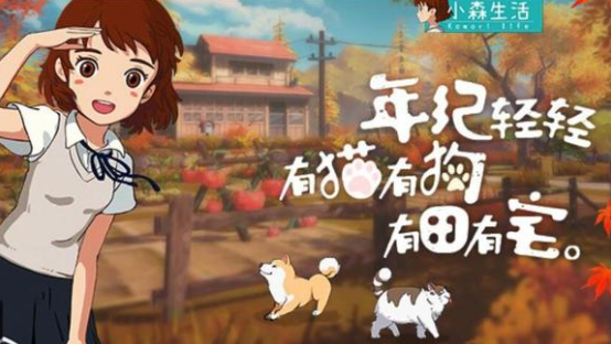 小森生活狗粮去哪里弄1
