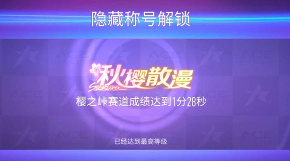 王牌竞速隐藏称号都有什么1