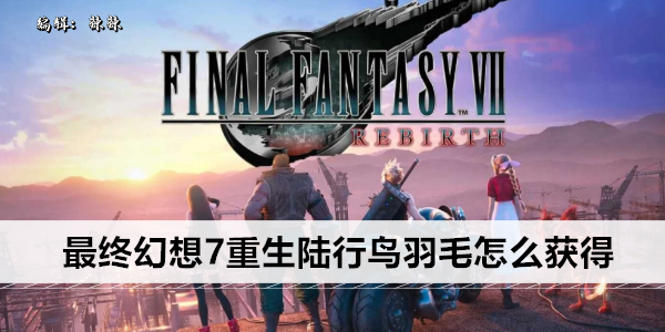 最终幻想7重生陆行鸟羽毛哪里弄1