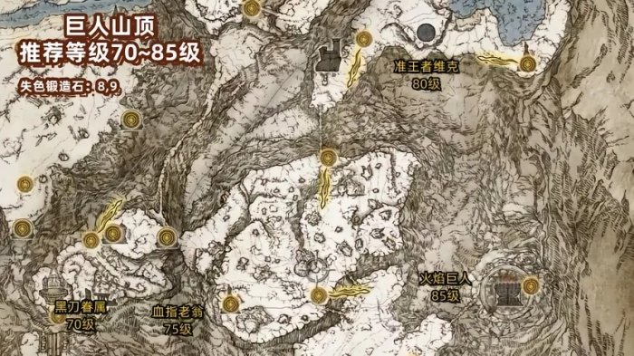艾尔登法环诅咒结局怎么快速完成9
