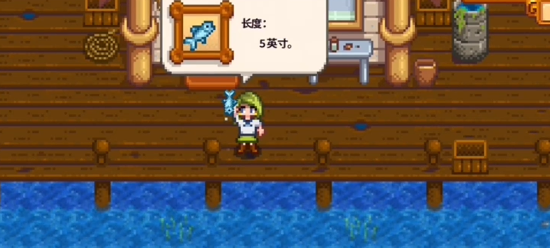 星露谷物语钓鱼有哪些技巧5