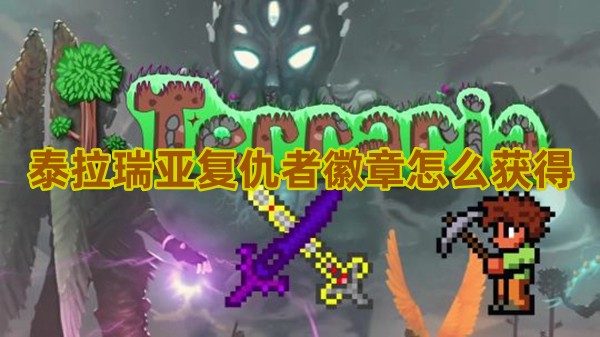 泰拉瑞亚复仇者徽章去哪弄1