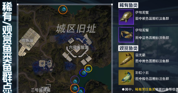 星球重启金色鱼去哪找4