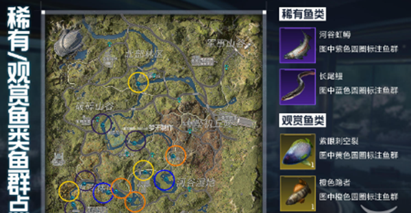 星球重启金色鱼去哪找2
