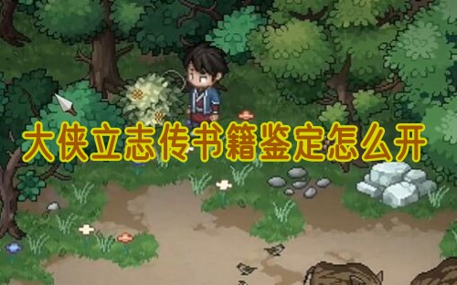 大侠立志传书籍鉴定如何开启1