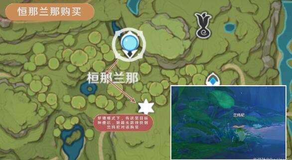 原神树王圣体菇在哪里采摘7