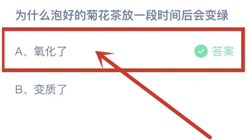 为什么泡好的菊花茶放一段时间后会变绿