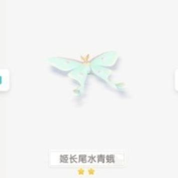 心动小镇姬长尾水青蛾位置在哪里,姬长尾水青蛾就在城郊