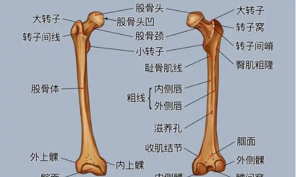 蚂蚁庄园5月20日答案是什么3